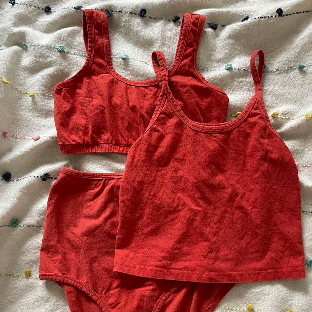 ARQ Undies and Bra (tank not included),